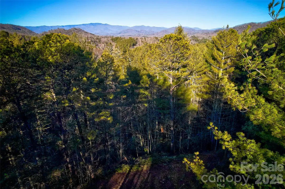 00 Piney Cove Road, Bryson City, NC 28713 - #1