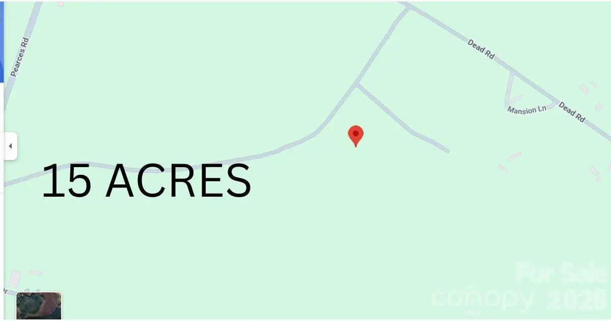 001 Dead Road, Zebulon, NC 27597 - #1