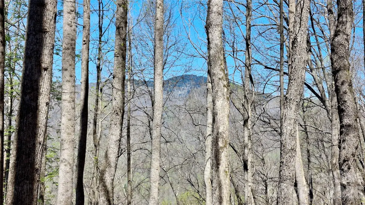 00 Maynor Drive, Sylva, NC 28779 - #1