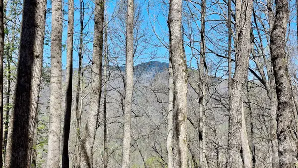 00 Maynor Drive, Sylva, NC 28779