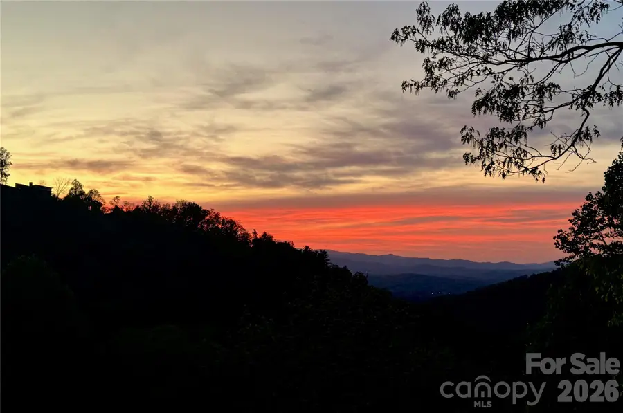 8 Timber Wolf Court, Asheville, NC 28804 - #3