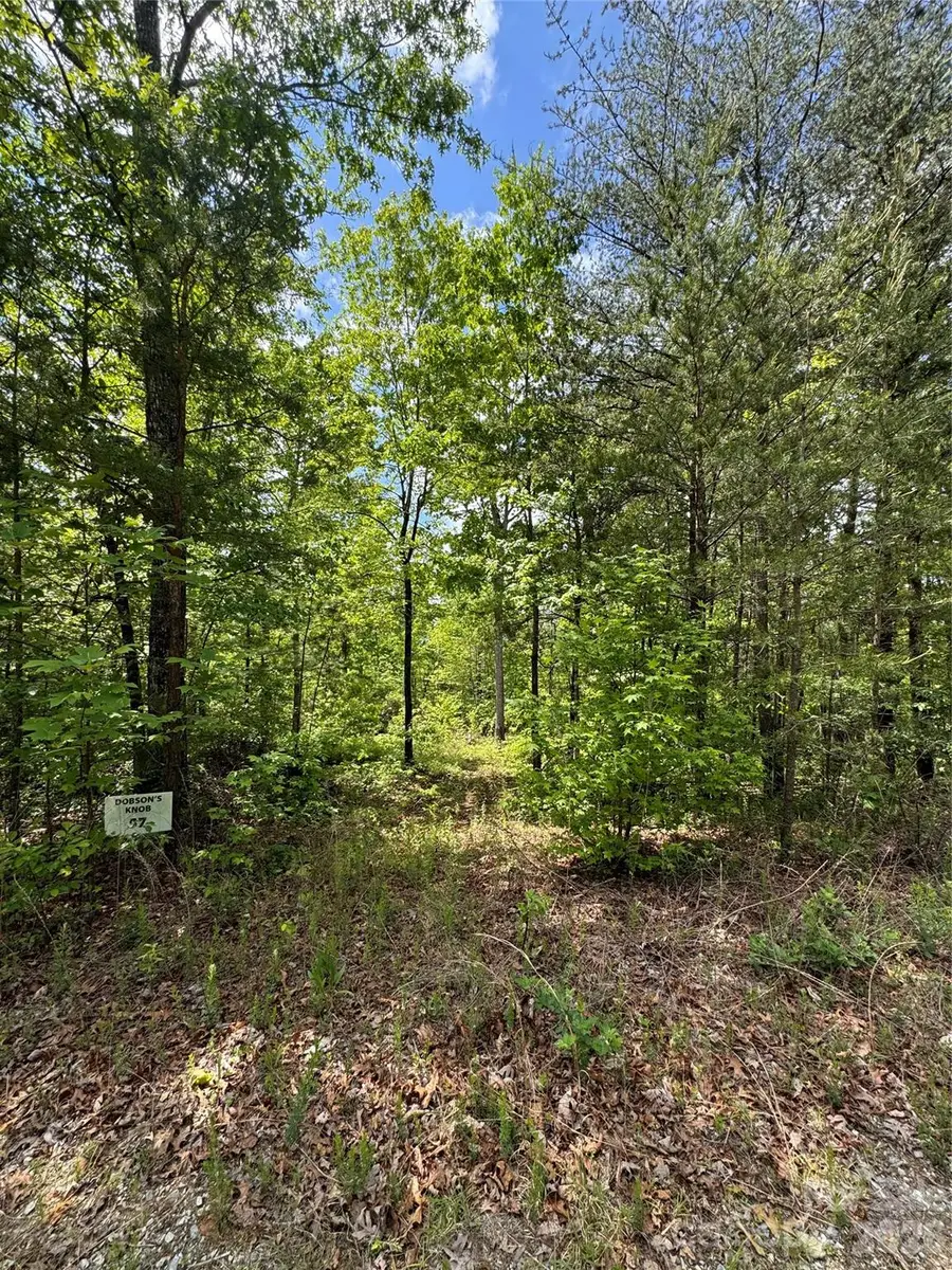 34 Montgomery Drive, Marion, NC 28752 - #2