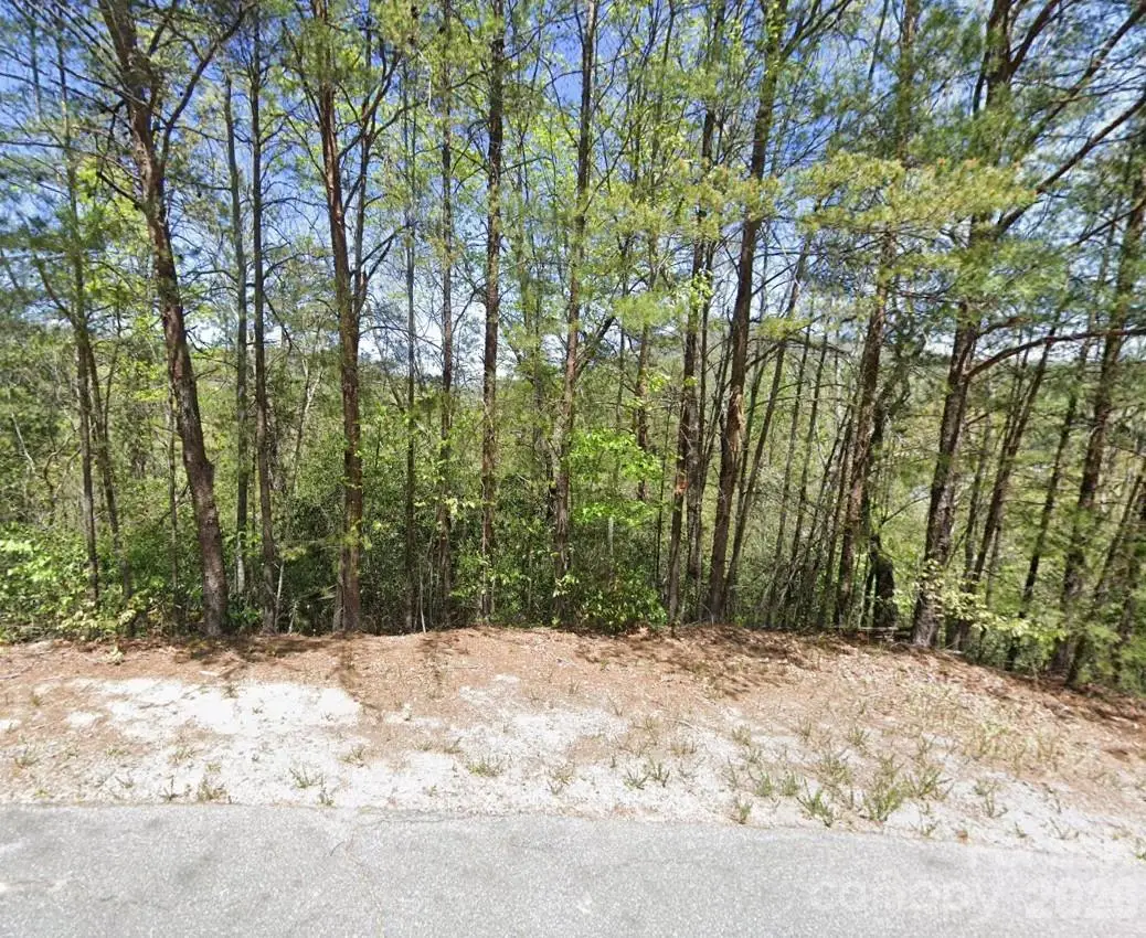 595 Quail Ridge Boulevard, Lake Lure, NC 28746 - #1