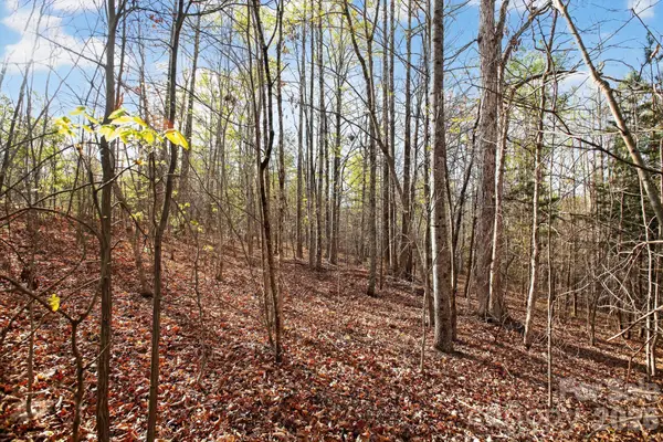 Lot 62 Dirksen Avenue, Nebo, NC 28655