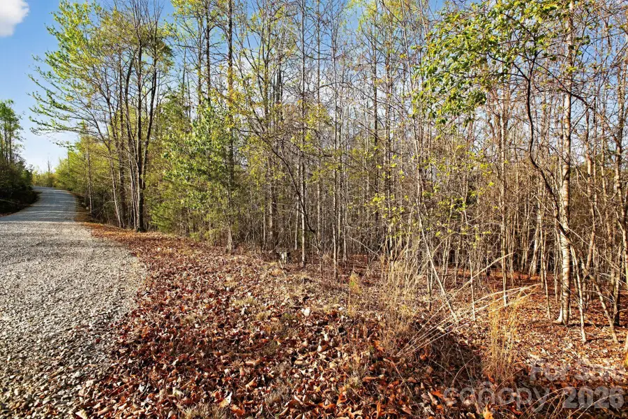 Lot 62 Dirksen Avenue, Dysartsville, NC 28655 - #2