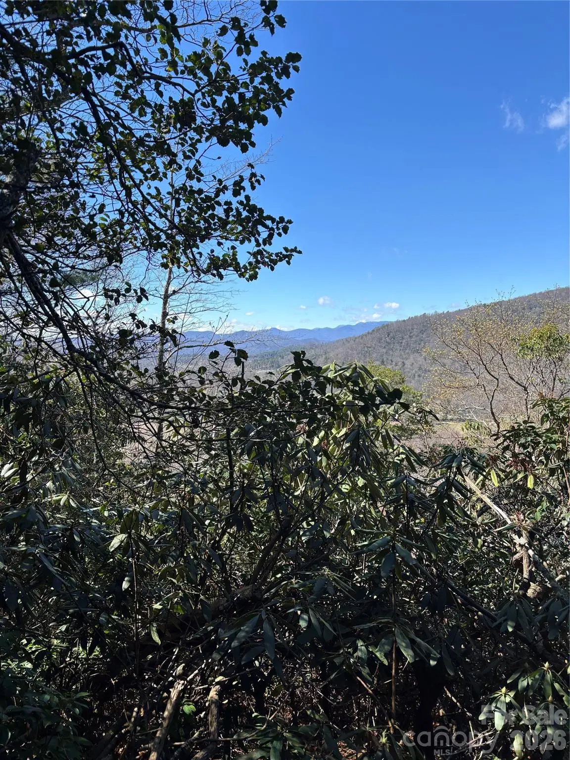 TBD Top Of The Mountain Road, Penrose, NC 28766 - #1