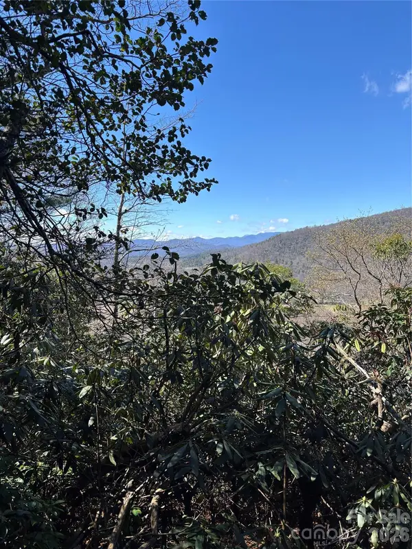 TBD Top Of The Mountain Road, Penrose, NC 28766