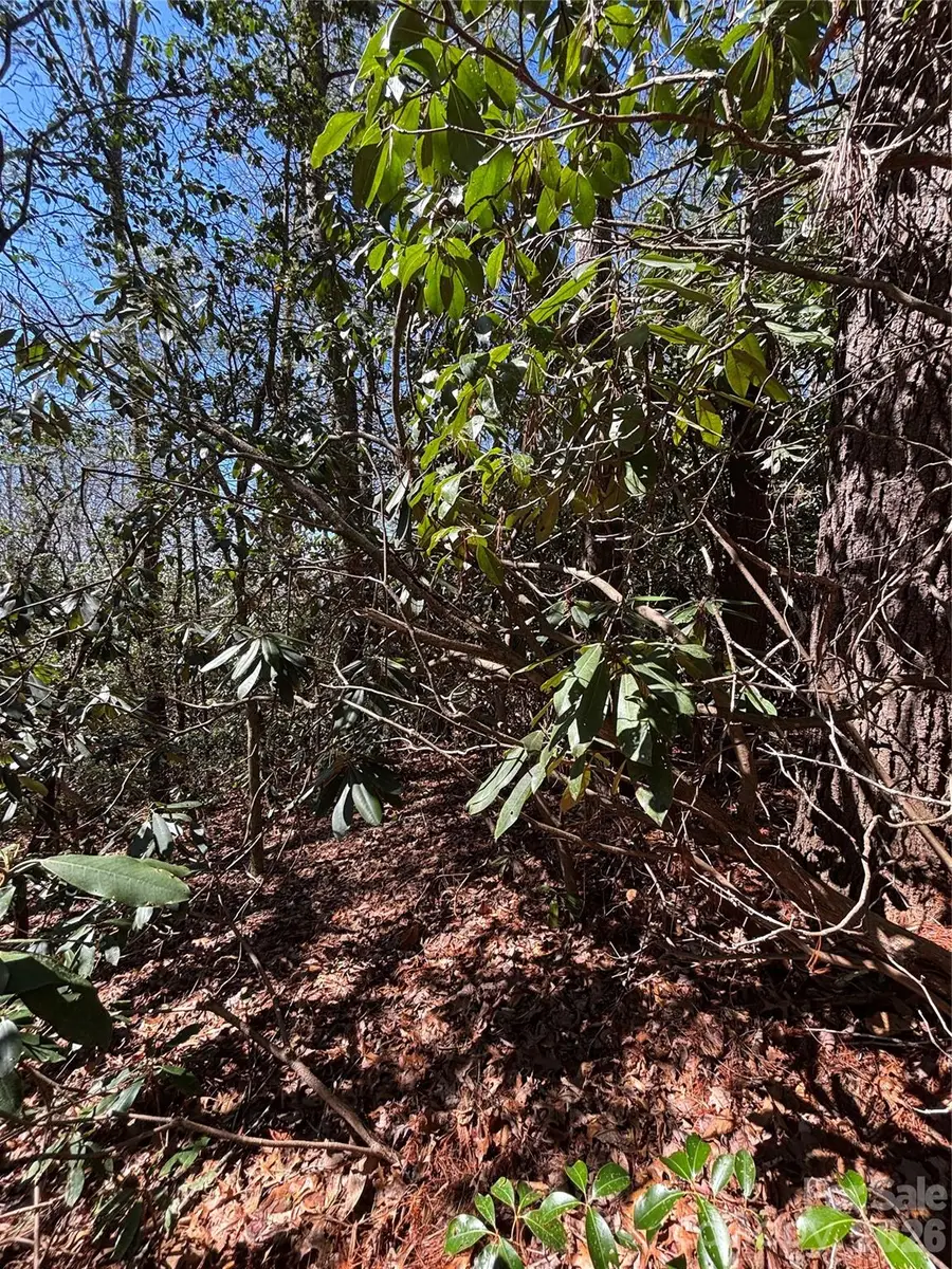 TBD Top Of The Mountain Road, Penrose, NC 28766 - #3