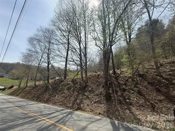 0 Hortons Creek Road, Burnsville, NC 28714