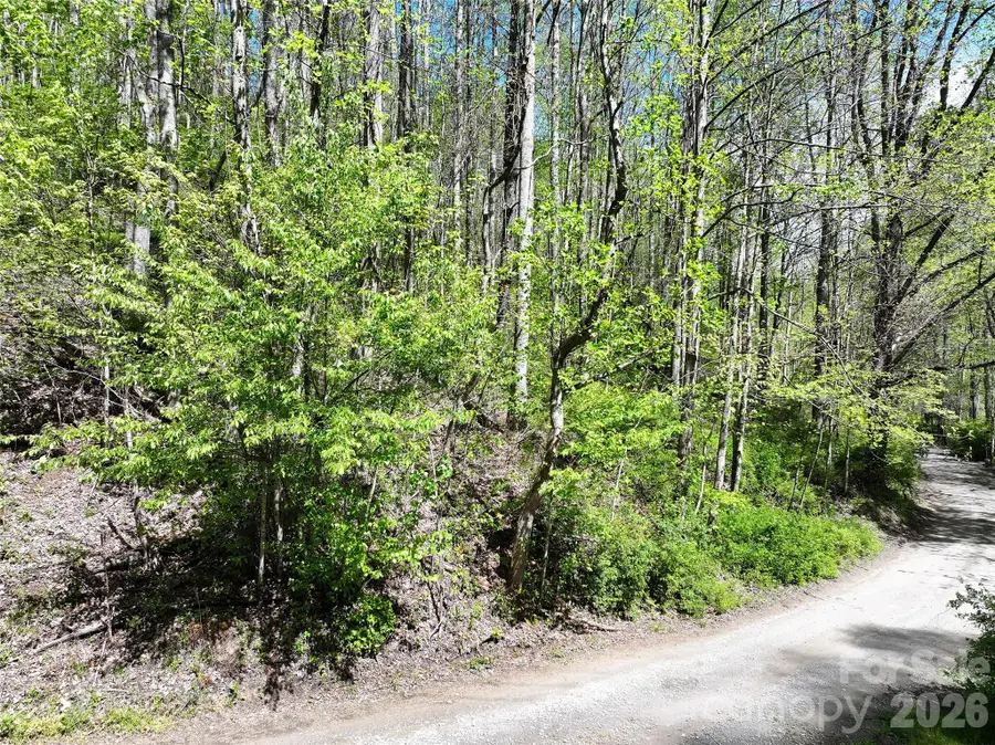 00 Hanks Road, Waynesville, NC 28785 - #3