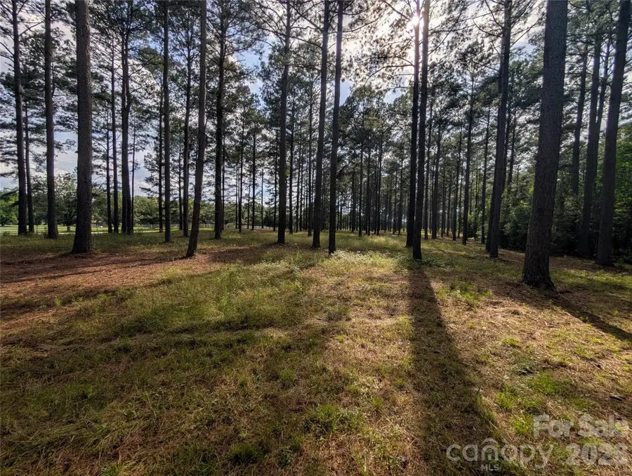 0000 Blessed Hope Road #3, York, SC 29745 - #2