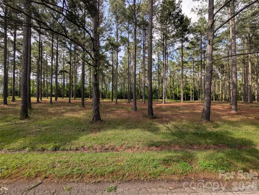 0000 Blessed Hope Road #3, York, SC 29745 - #3