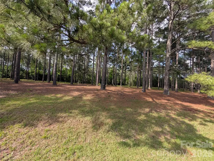 0000 Blessed Hope Road #4, York, SC 29745 - #3