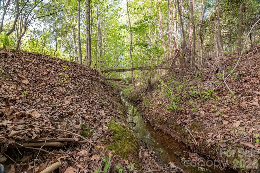 482 Jm Lovelace Road, Ellenboro, NC 28040 - #3