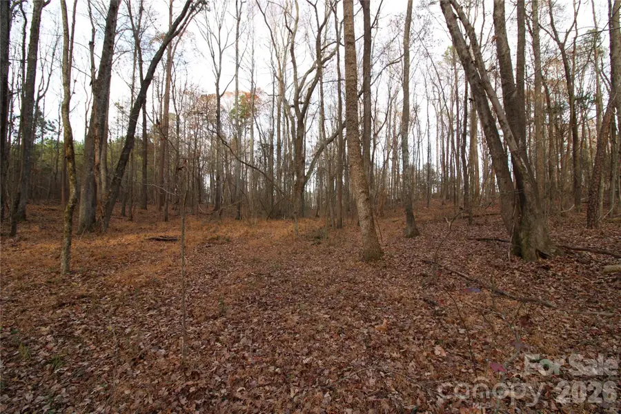 3+/-AC Lot 4 Pioneer Road, York, SC 29745 - #3