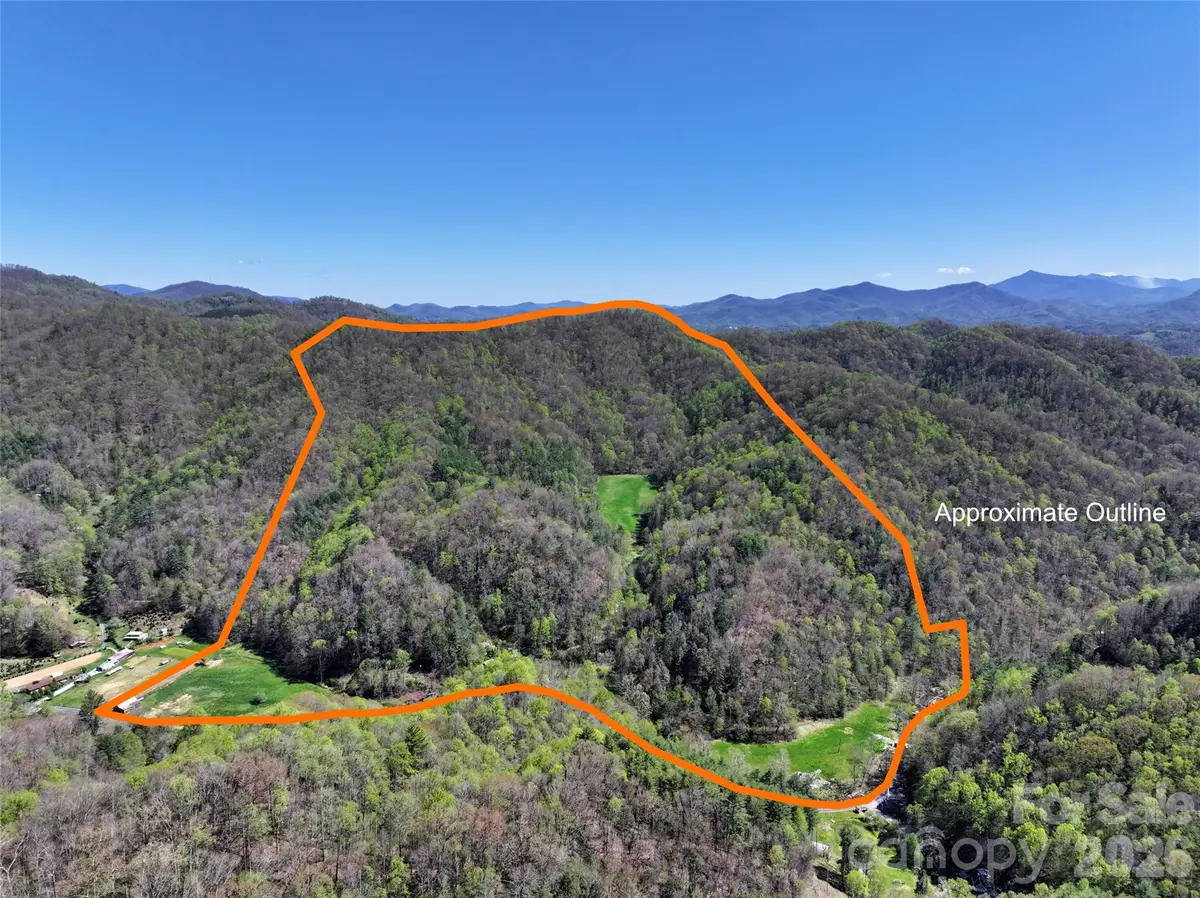 2180 Pigeon Roost Road, Green Mountain, NC 28740 - #1