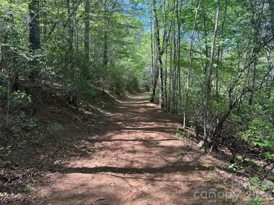 266 Mountain Creek Way, Marion, NC 28752 - #3