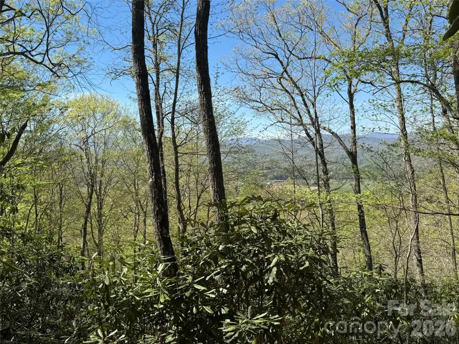 33 Reserve Road #33, Pisgah Forest, NC 28768 - #2
