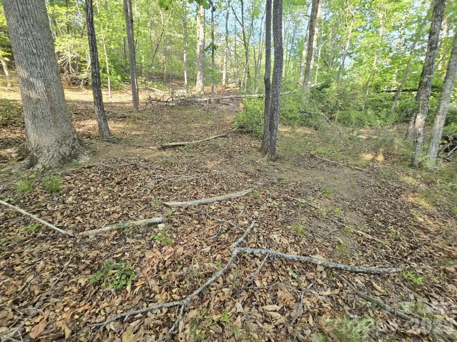 Lot 88 Woodland Circle, Lake Lure, NC 28746 - #3