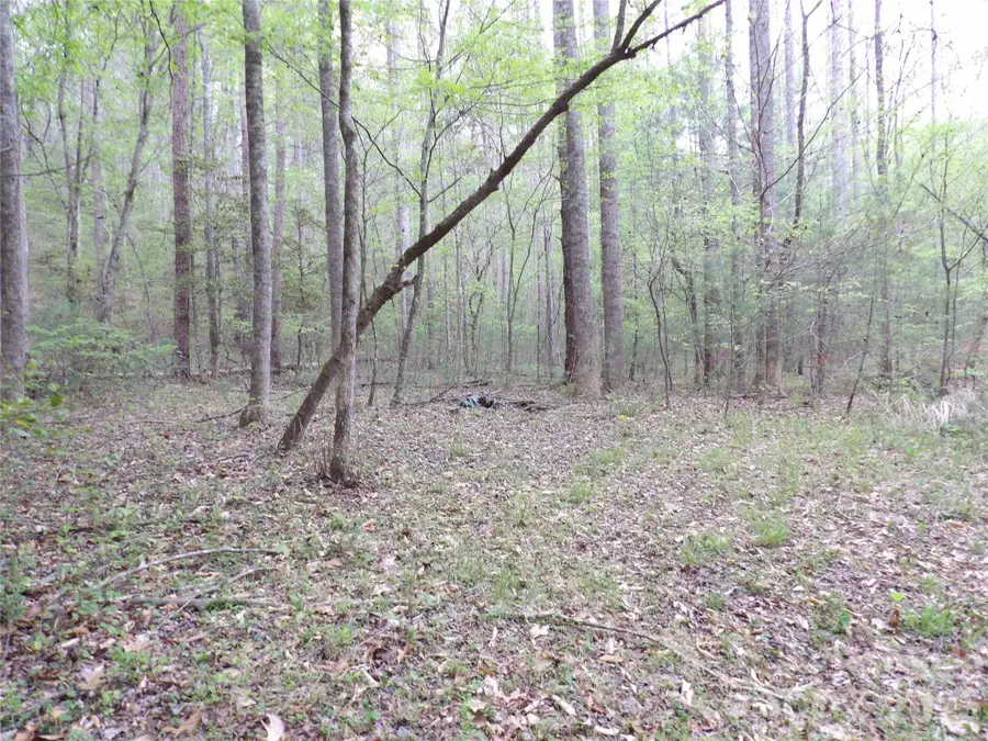 00000 Barlowe Place, Lenoir, NC 28645 - #3