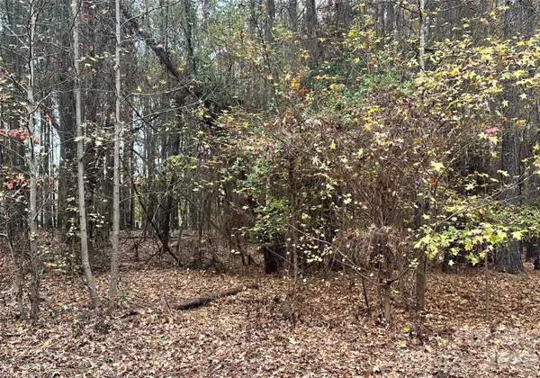 Lot 5 Lake Wylie Drive, Rock Hill, SC 29732
