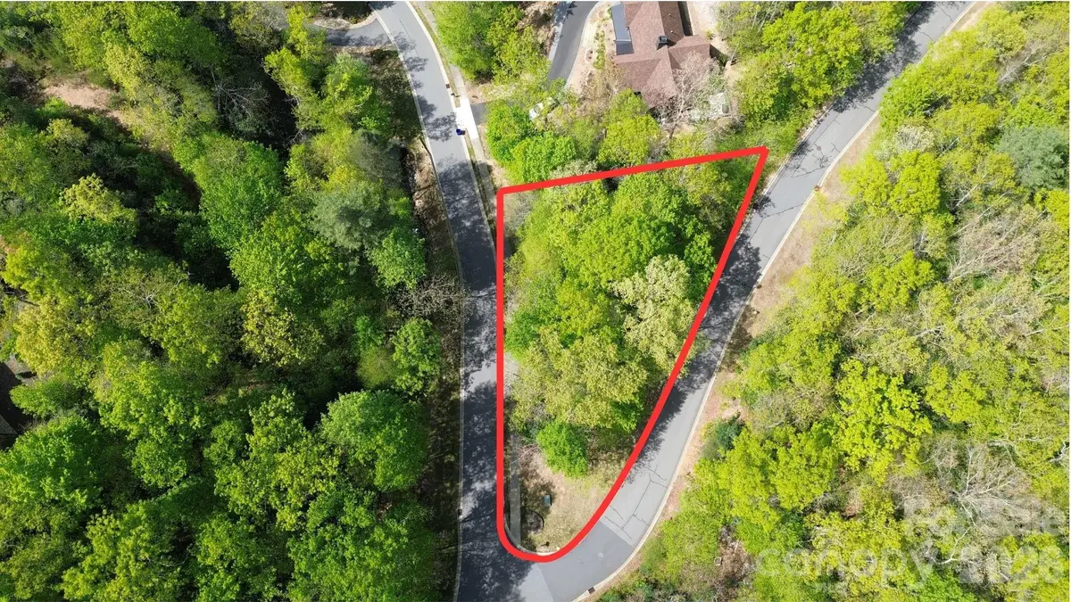 205 Settings Boulevard, Black Mountain, NC 28711 - #1