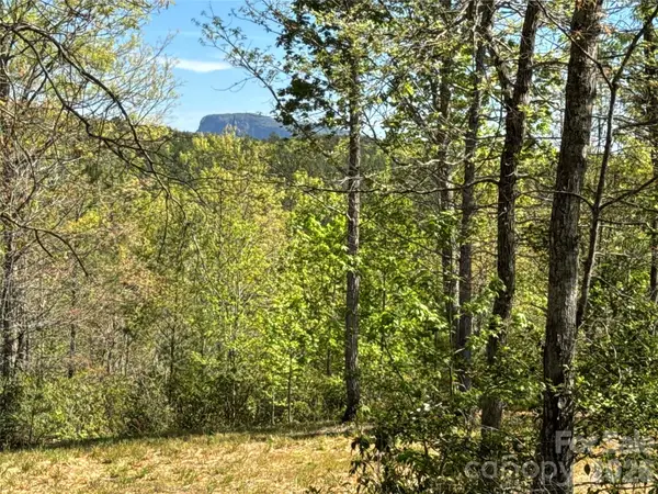 284 Bear Cliff Circle, Nebo, NC 28761