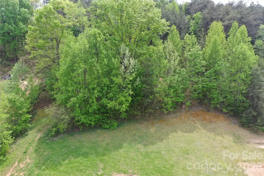 5920 Overland Drive, Connelly Springs, NC 28612 - #3