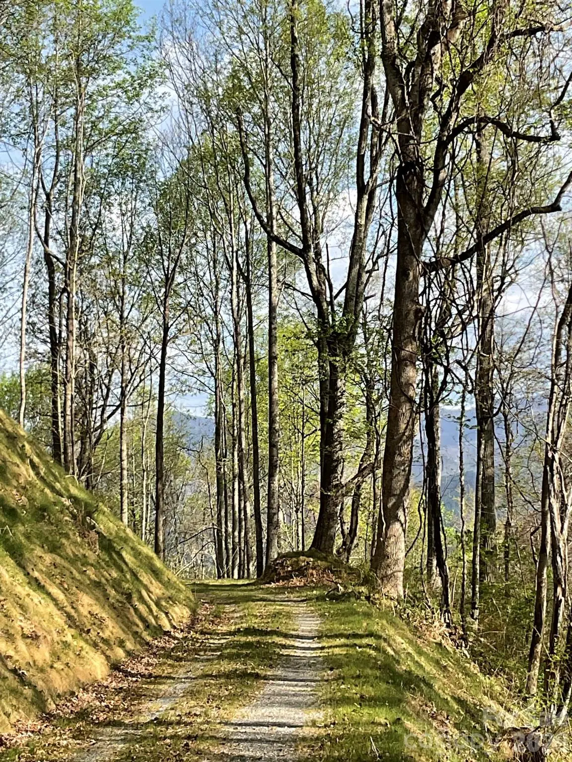 1414 Easy Wind Drive #56, Swannanoa, NC 28778 - #1