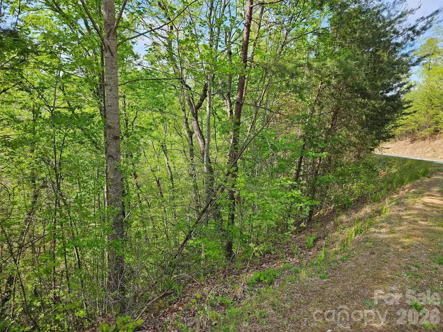 0 High Pines Loop #101, Lake Lure, NC 28746 - #2