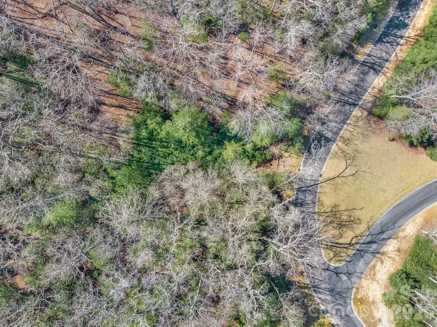 116 May Fly Lane #116, Horse Shoe, NC 28742 - #3