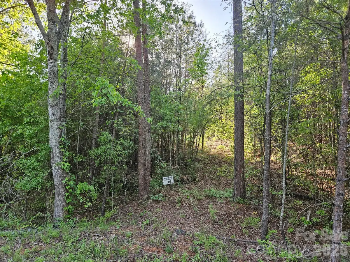 0 Old Hollis Road #2, Ellenboro, NC 28040 - #1