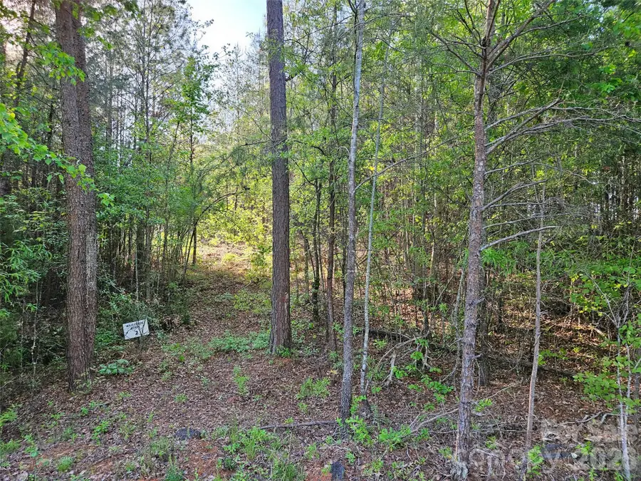 0 Old Hollis Road #2, Ellenboro, NC 28040 - #2