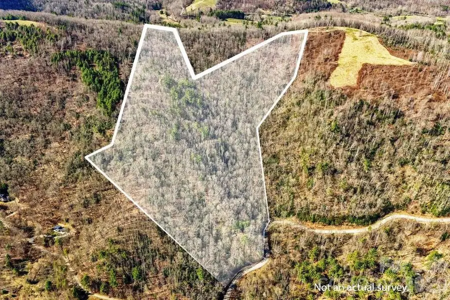 tbd Rominger Road, Sugar Grove, NC 28679 - #2