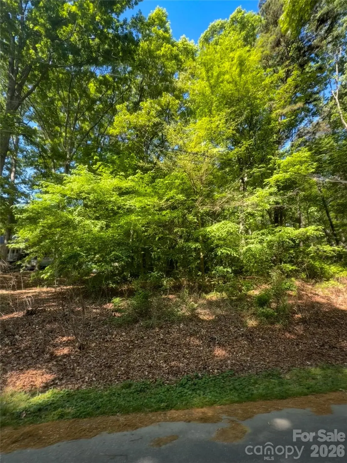 8793 Peninsula Drive, Terrell, NC 28682 - #1