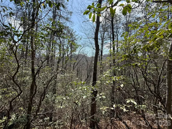 00 Line Runner Ridge Road, Rosman, NC 28722