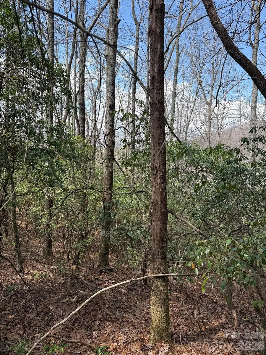 00 Line Runner Ridge Road, Eastatoe, NC 28722 - #2