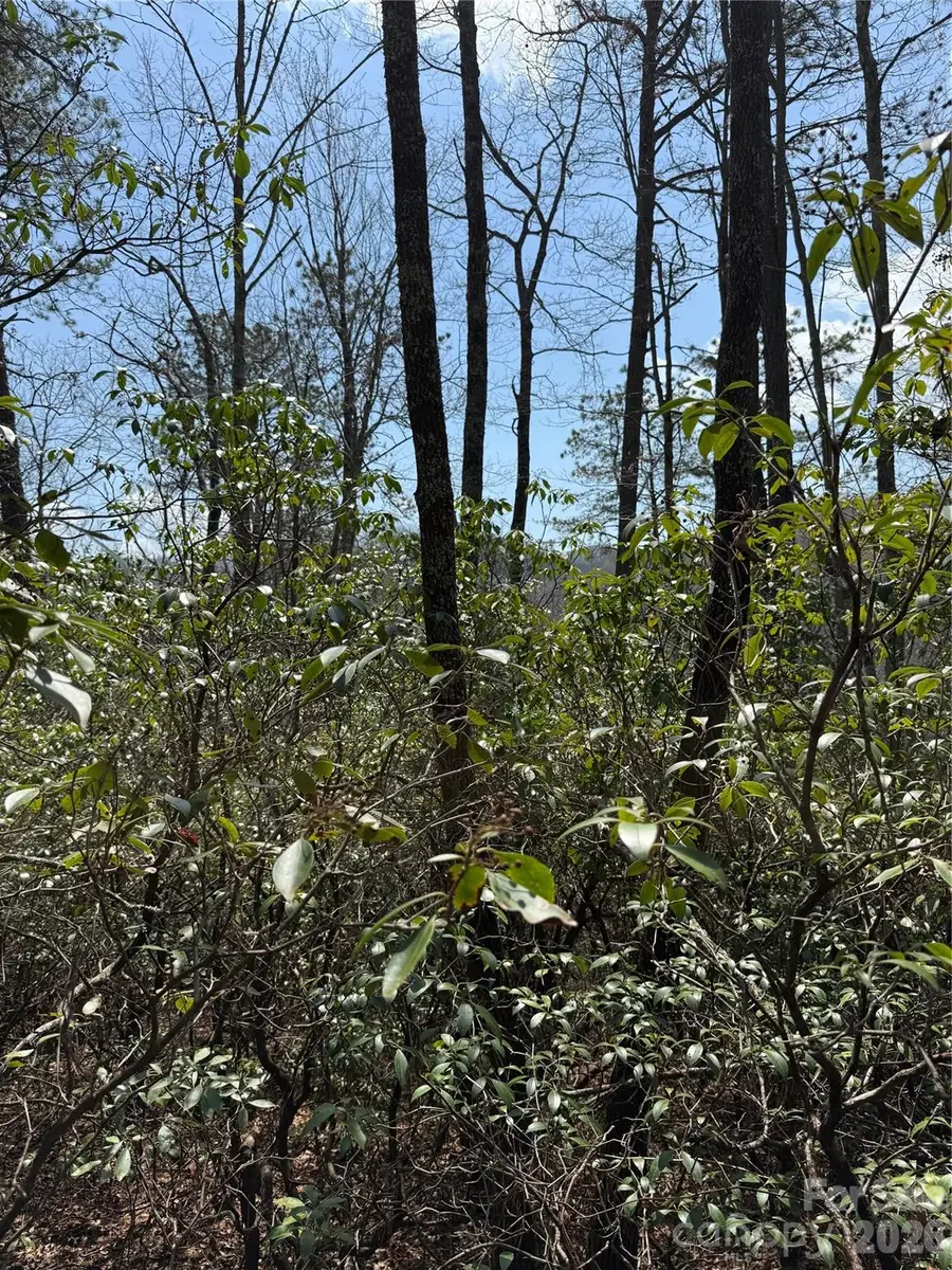 00 Line Runner Ridge Road, Eastatoe, NC 28722 - #3