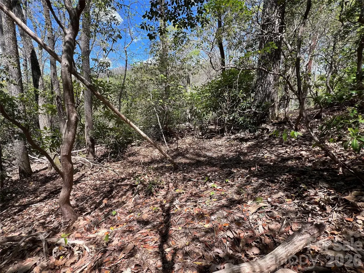 99999 Summer Haven Road, Swannanoa, NC 28778 - #1