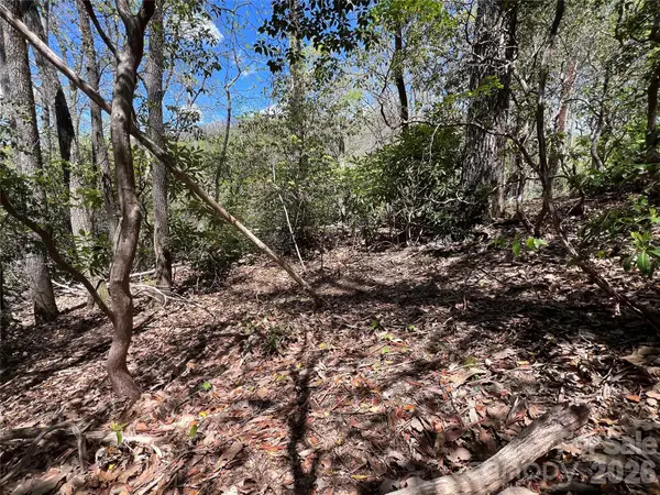 99999 Summer Haven Road, Swannanoa, NC 28778