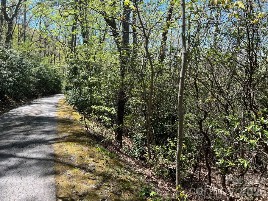 99999 Summer Haven Road, Swannanoa, NC 28778 - #2