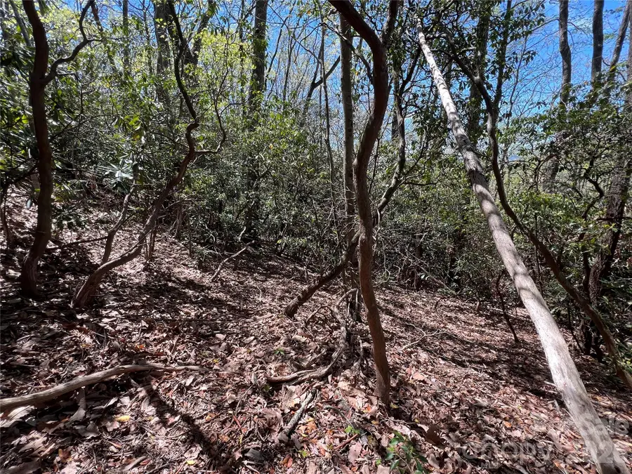 99999 Summer Haven Road, Swannanoa, NC 28778 - #3