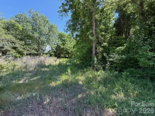 619 Chester Avenue, Great Falls, SC 29055 - #3