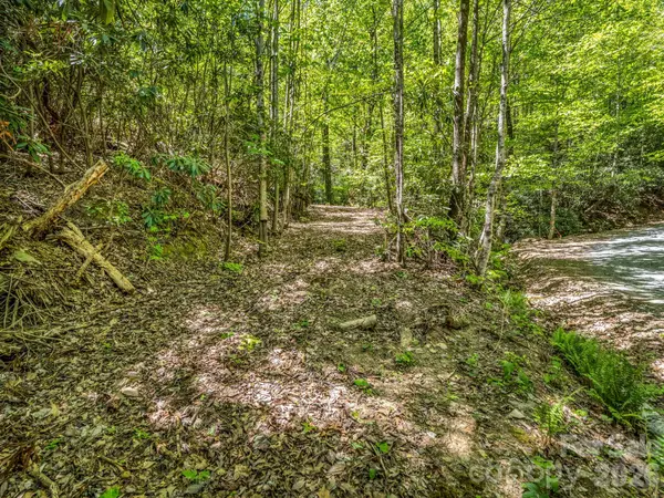 00 Lakeview Drive #414/415, Tryon, NC 28782