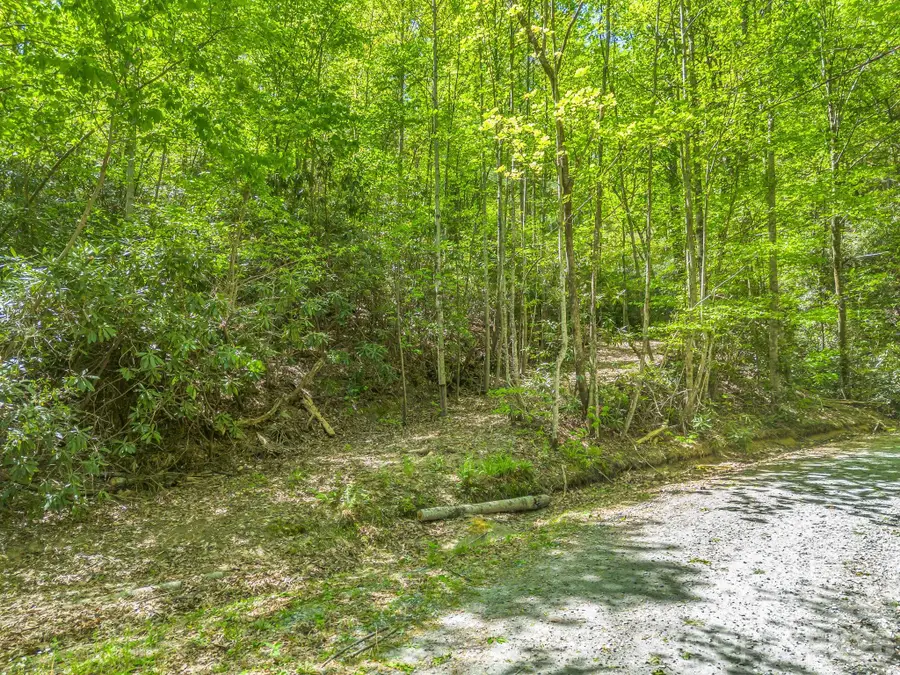 00 Lakeview Drive #414/415, Tryon, NC 28782 - #3