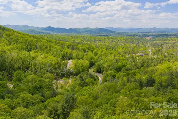 693 Tea House Drive, Asheville, NC 28803