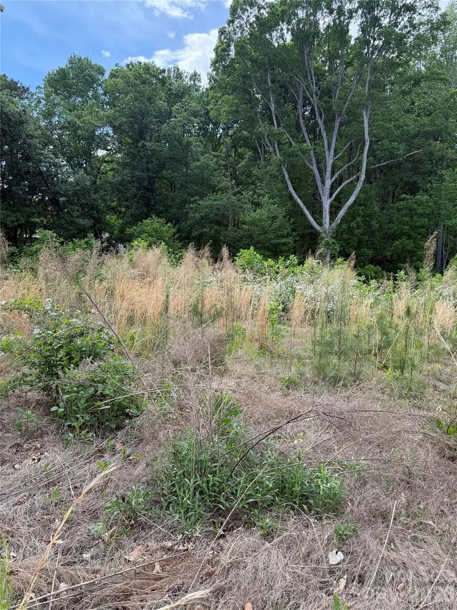 495 Forest View Drive, Kannapolis, NC 28081 - #2