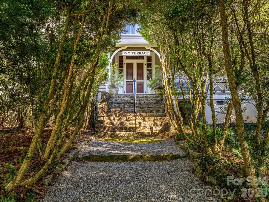 300 Ivy Terrace Drive, Saluda, NC 28773 - #2