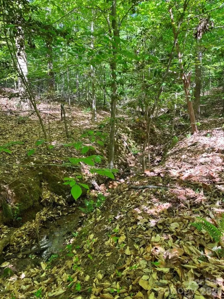 1 Tin Mine Road #1, Lincolnton, NC 28092 - #3