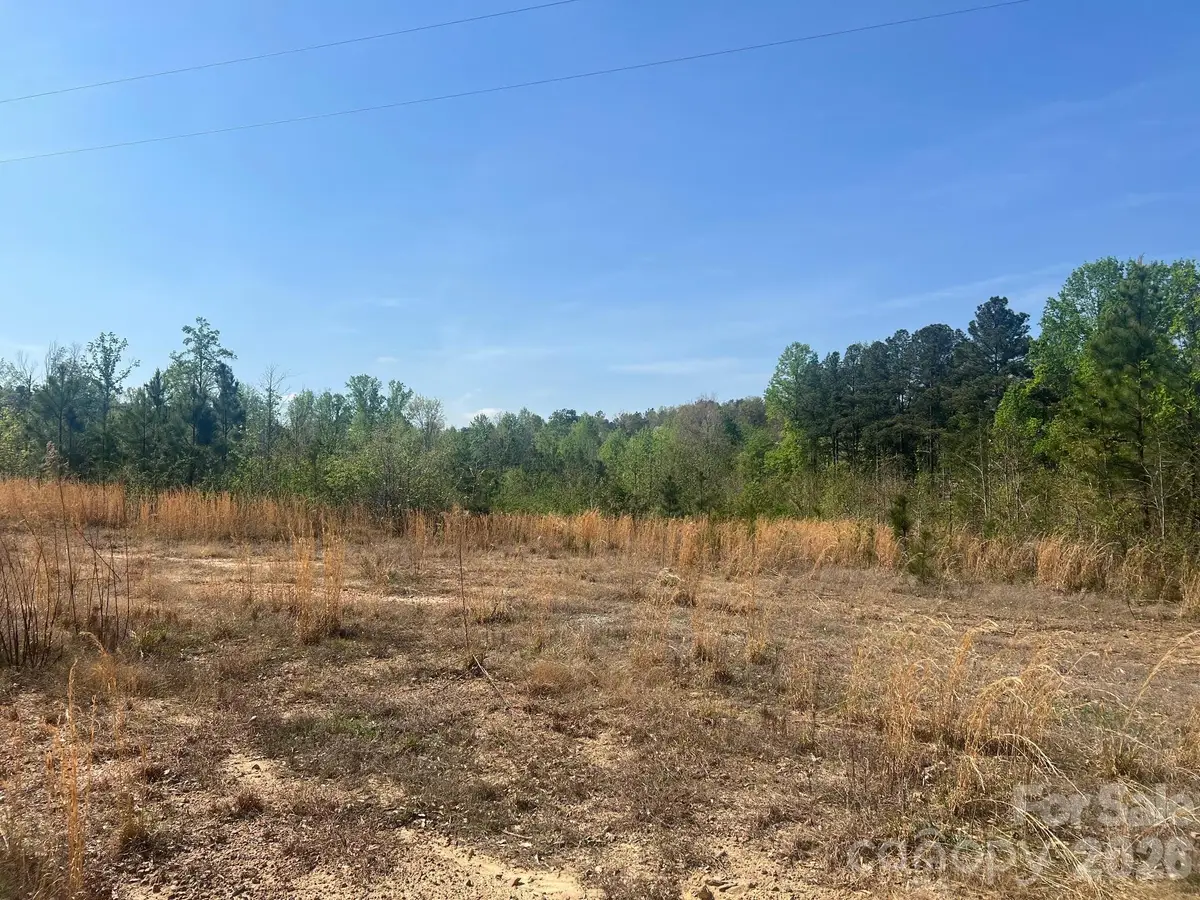 6374 Peniel Road, Tryon, NC 28782 - #1